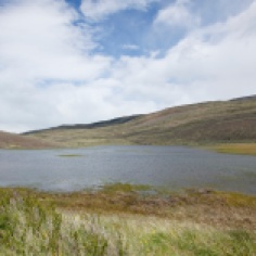 Ducks-lagoon-Patagonia-Estancia-Cristina-3718