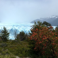Perito-Moreno-Glacier-Landscape-1365