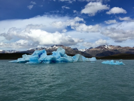 Upsala-Glacier-Iceberg-chunks-1314